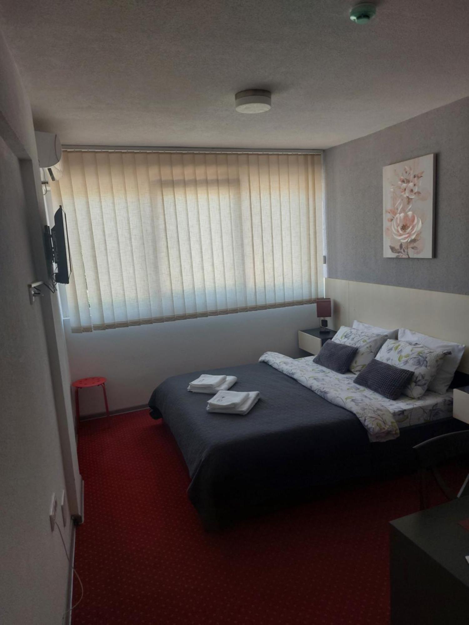 Rooms S&S Milicevic U Strogom Centru Aleksandrovca Aleksandrovac Zimmer foto
