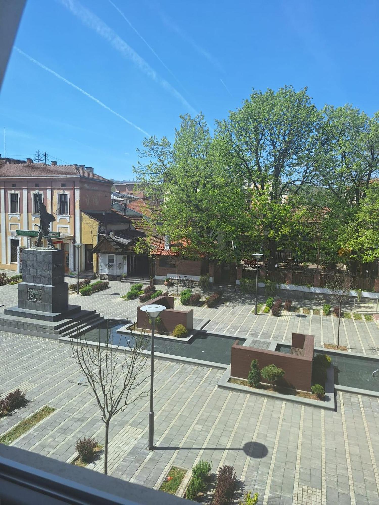 Rooms S&S Milicevic U Strogom Centru Aleksandrovca Aleksandrovac Zimmer foto