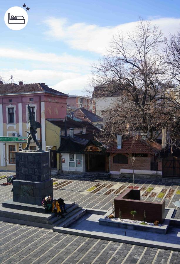 Rooms S&S Milicevic U Strogom Centru Aleksandrovca Aleksandrovac Exterior foto